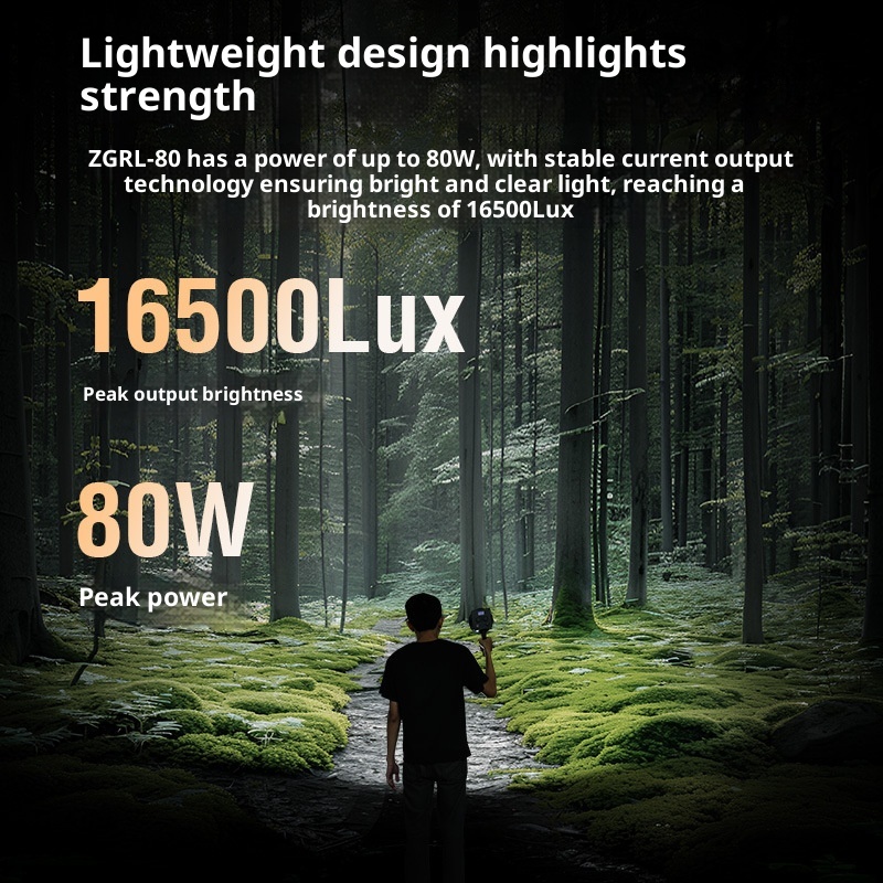 ZGRL80 80W COB LED Luz de víde - Outdoor Lighting In Photography avaliação e preço